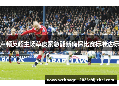 卢顿英超主场草皮紧急翻新确保比赛标准达标